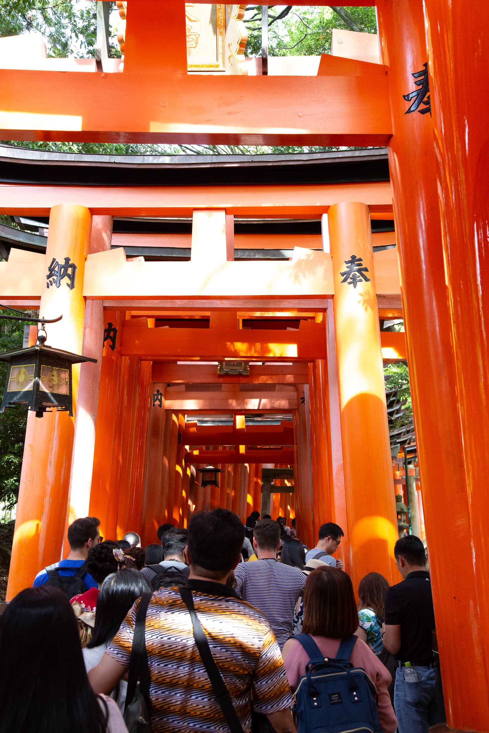 Fushimi Inari Shrine