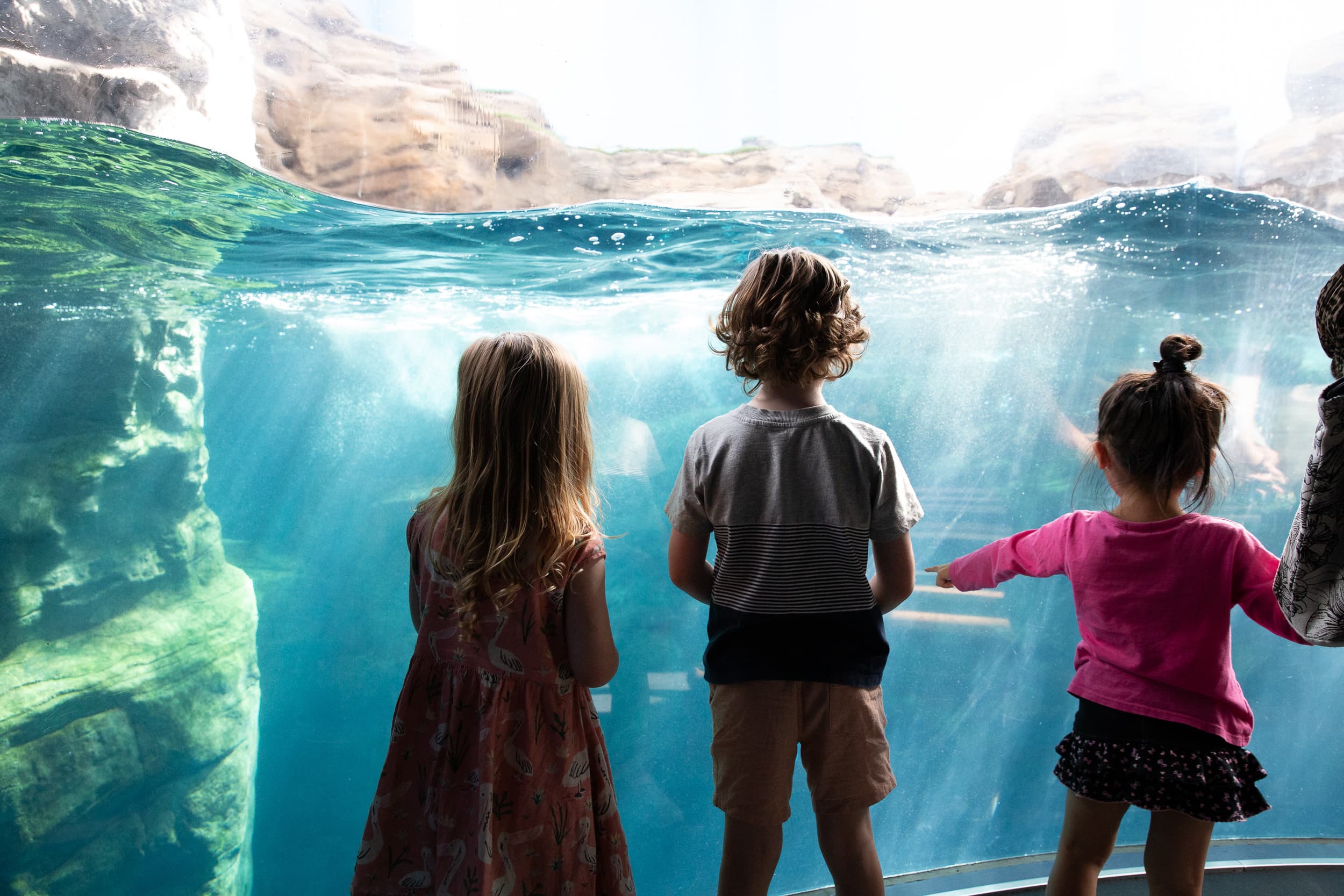 Osaka Aquarium Kaiyukan - kids watching the dolphins